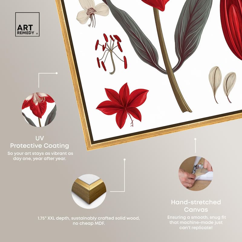 Amaryllis Anatomy Canvas by Art Remedy