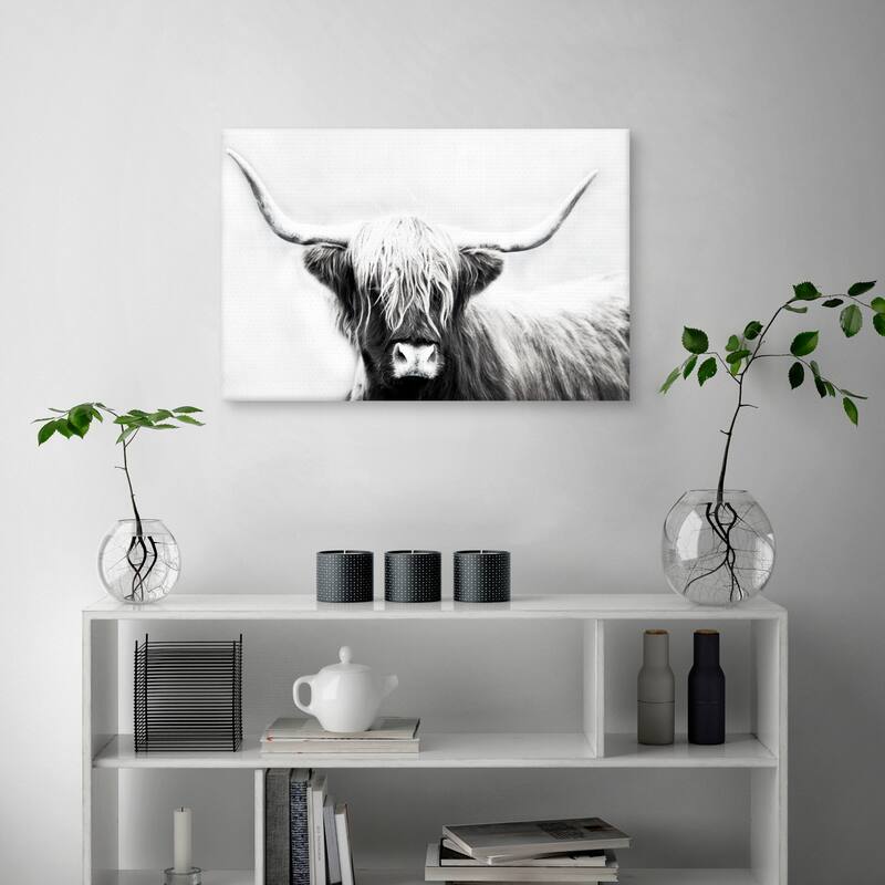Highland Longhorn by Danita Delimont Canvas Art Print Bed Bath