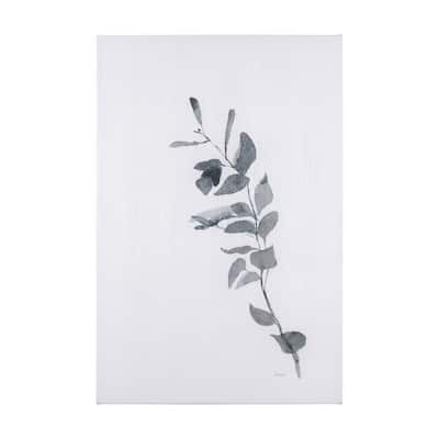 Leaf Shadow III (40 x 60 ) Canvas Art Print
