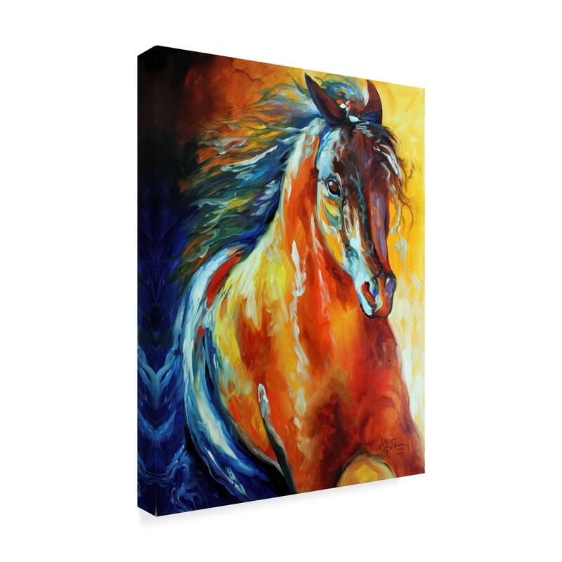 Marcia Baldwin 'Thunder Magic' Canvas Art