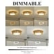 preview thumbnail 4 of 11, 36W 18'' Dimmable Boho Ceiling Light