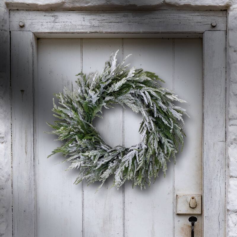 Flocked Norfolk Pine Artificial Christmas Wreath, 24-Inch, Unlit