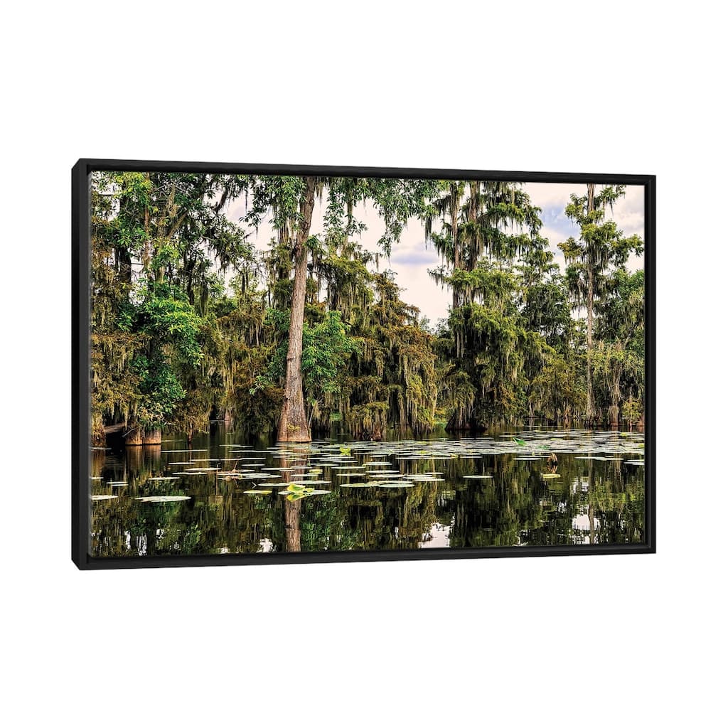 iCanvas "Cypress Swamp V" by Janet Fikar Framed