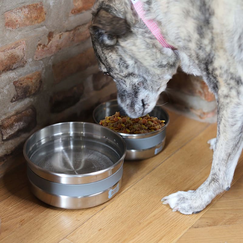 Built Stainless Steel Dog Bowl, 38 Oz & 64 Oz - 38 Oz & 64 Oz