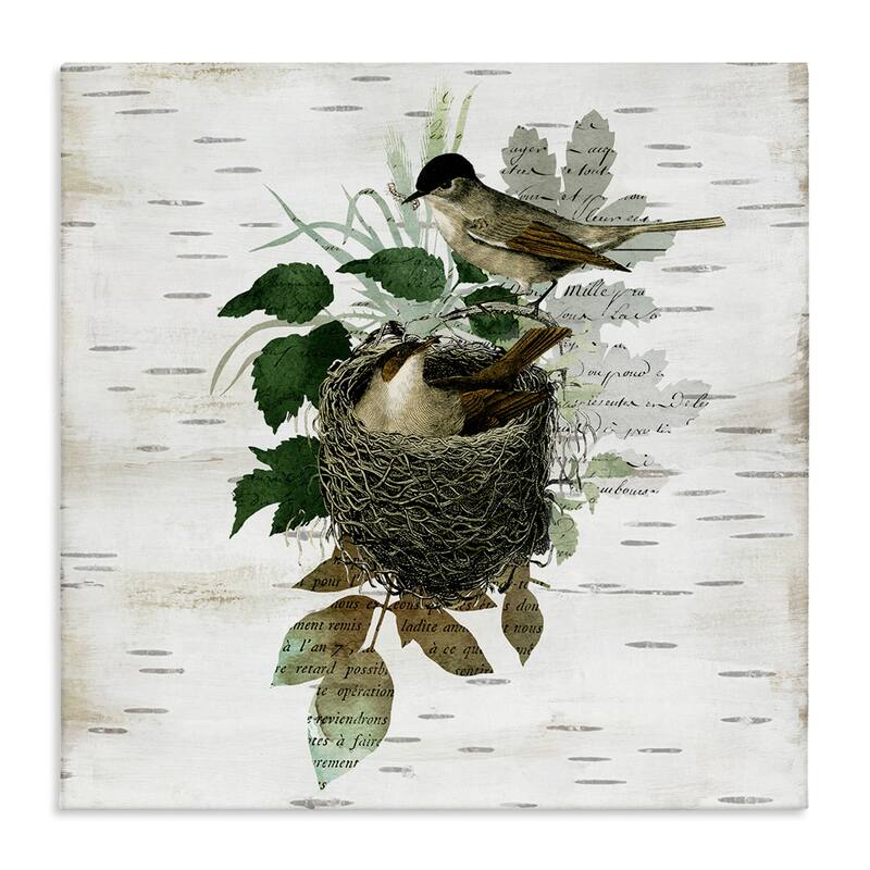 Stupell Birds in Vintage Nest Canvas Wall Art Design By Susan Arnot - 36 x 36