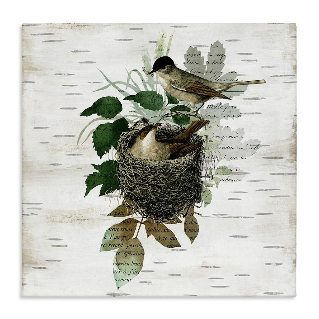 Stupell Birds in Vintage Nest Canvas Wall Art Design By Susan Arnot