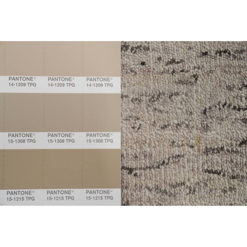 Hand Knotted Oriental 100% Wool Carpet Tribal Animal Pictorial Beige & Ivories Gabbeh Area Rug - 11' 10'' X 9' 0''
