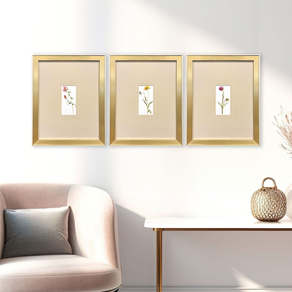 Paragon Pretty Florals I Framed Art - Set of 3