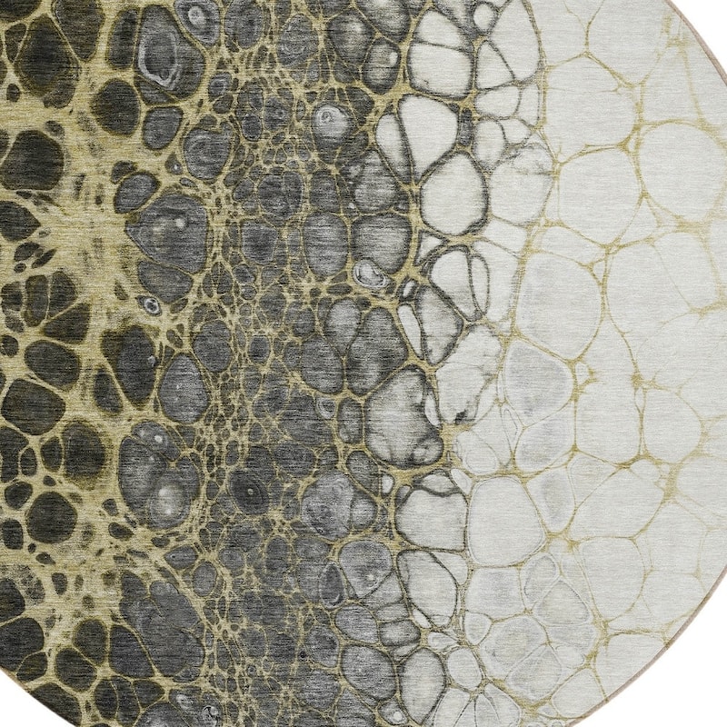 HomeRoots Abstract Transitional Rectangle Outdoor Rug