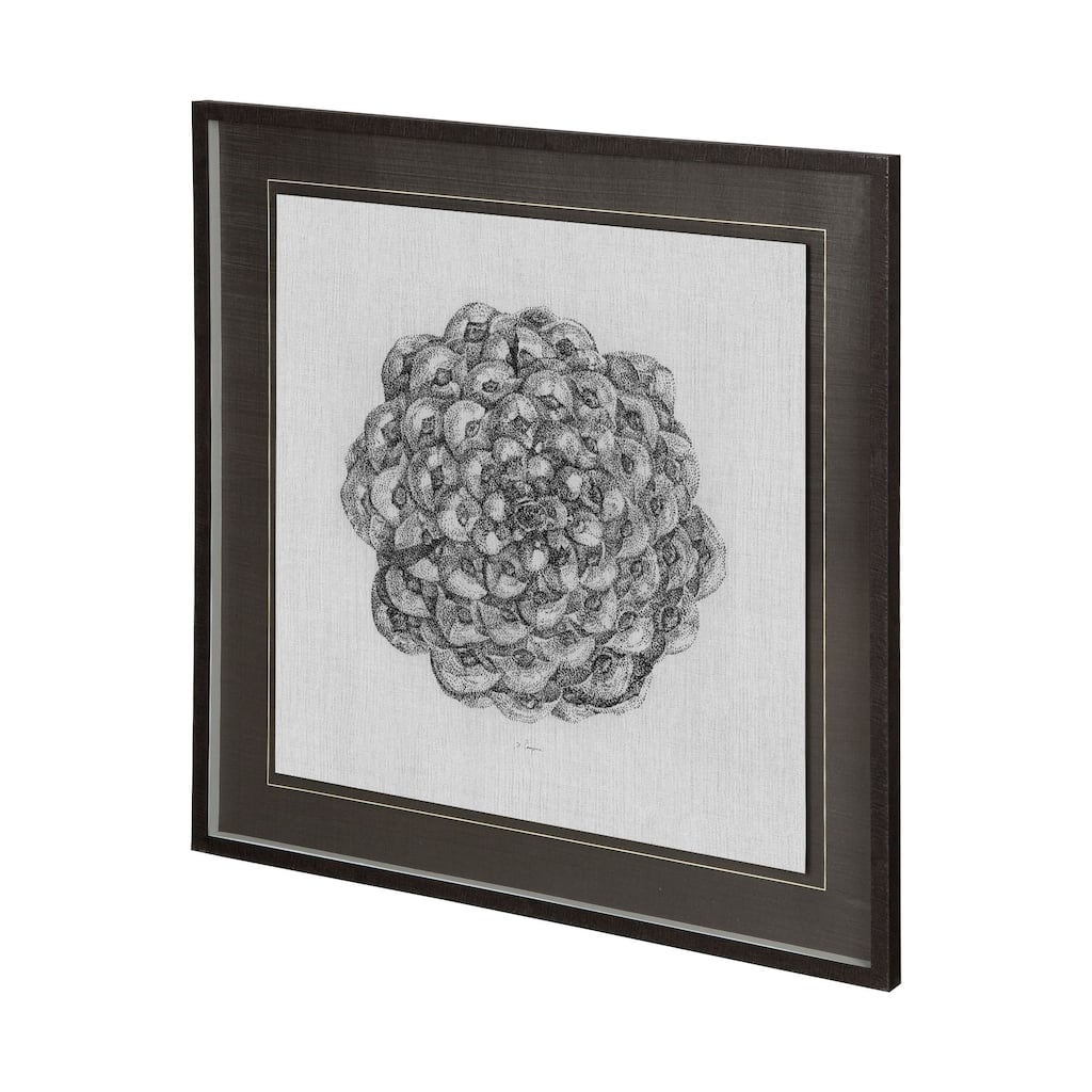 Cone of View II Framed Art Print