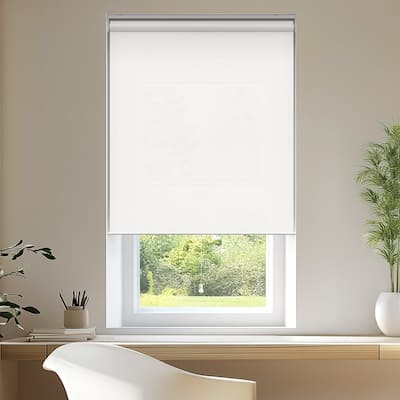 CHICOLOGY Light Filtering Cordless Roller Shades - 49"W X 72"H