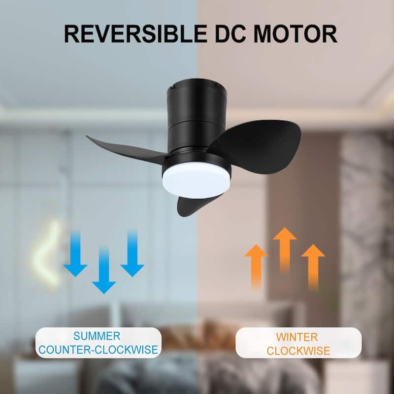 MLiAN 22 inch 3 ABS Blades Smart indoor LED Ceiling Fan with Remote