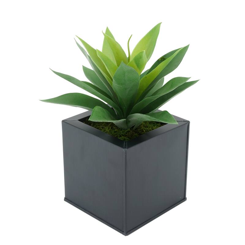 Faux Frosted Light Green Succulent in Square Zinc Planter - Black
