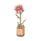 Option Pink Rose