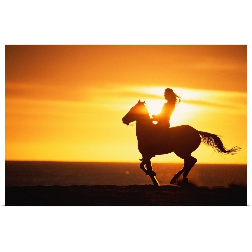 Silhouette of woman riding horse at sunset\, image size:1000x1000