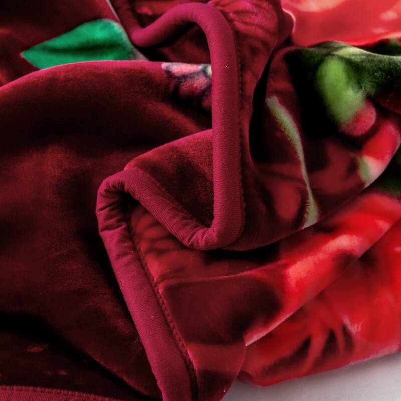 Raschel A&B Printed 2-ply Reversible Korean-style Plush Fleece Blanket