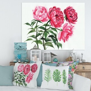 Designart "Four Vintage Pink Peonies" Traditional Canvas Wall Art Print ...