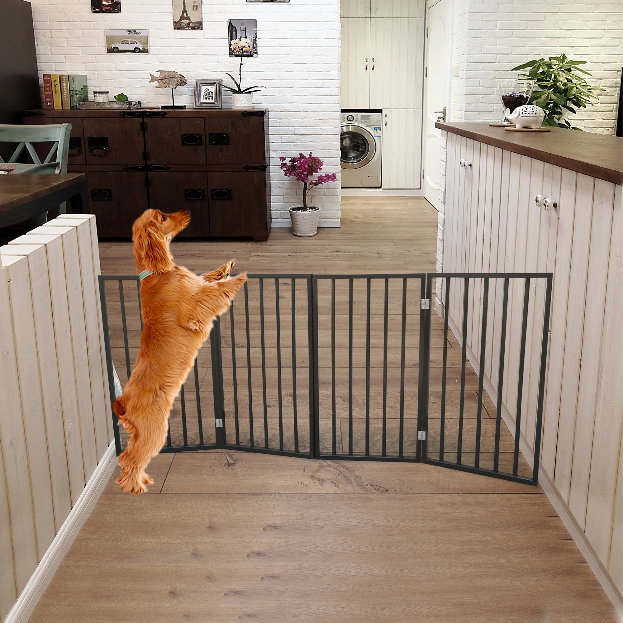 Small shop pet barrier