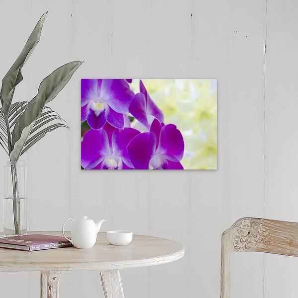 Shop Close Up Detail Of Orchid Canvas Wall Art Overstock 21479069