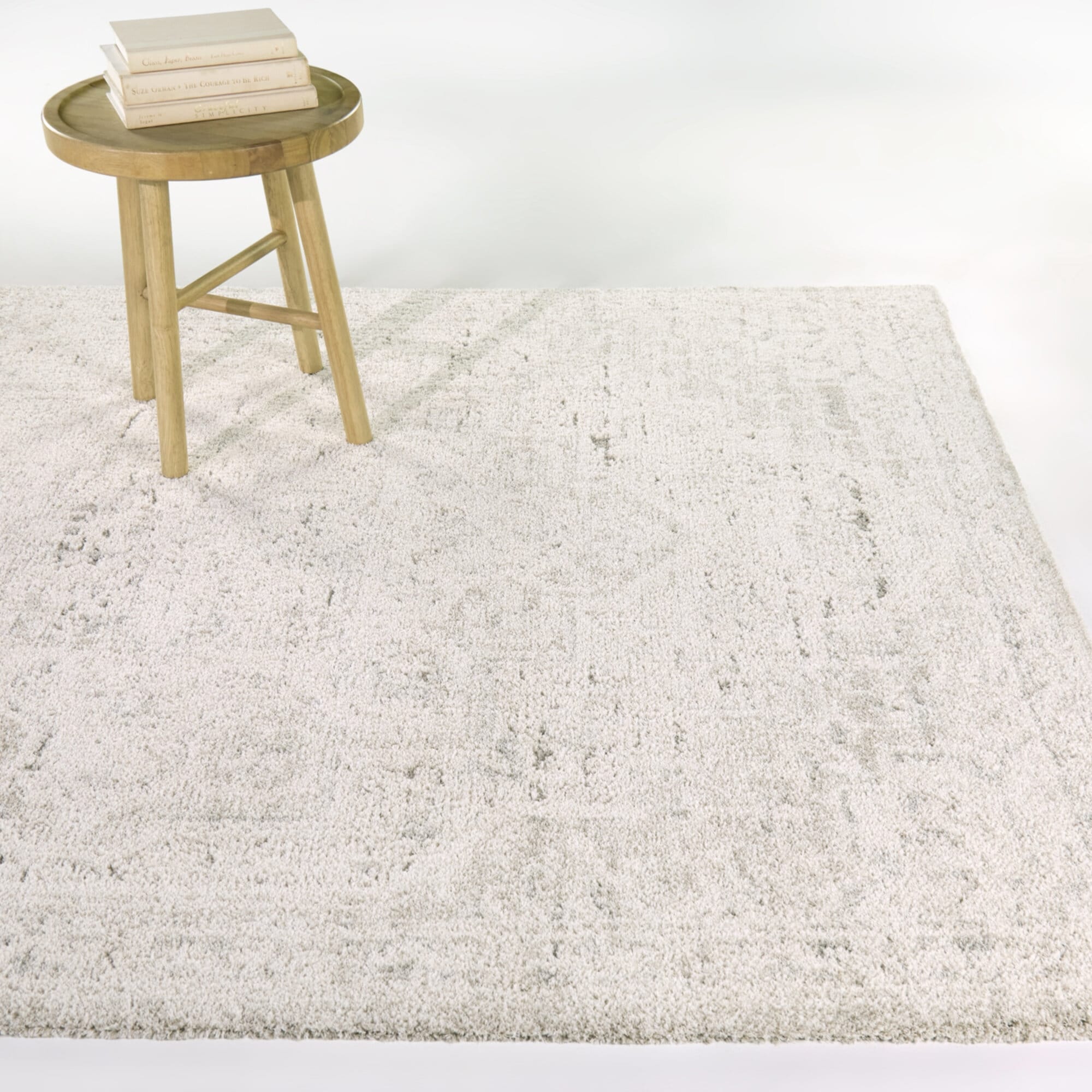 Balta Rugs Iacchus Distressed Traditional Area Rug