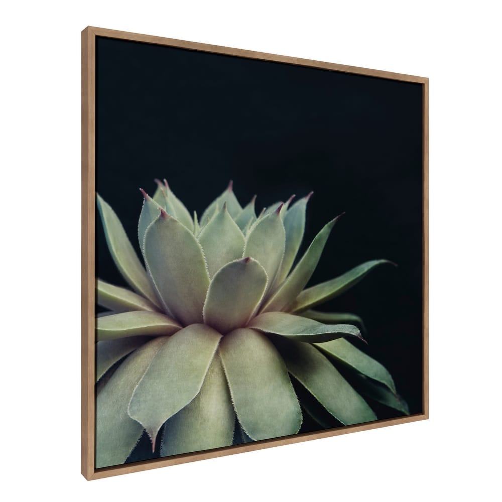 Sylvie Succulent 18x24 Gold Framed Canvas Wall Art by F2 Images