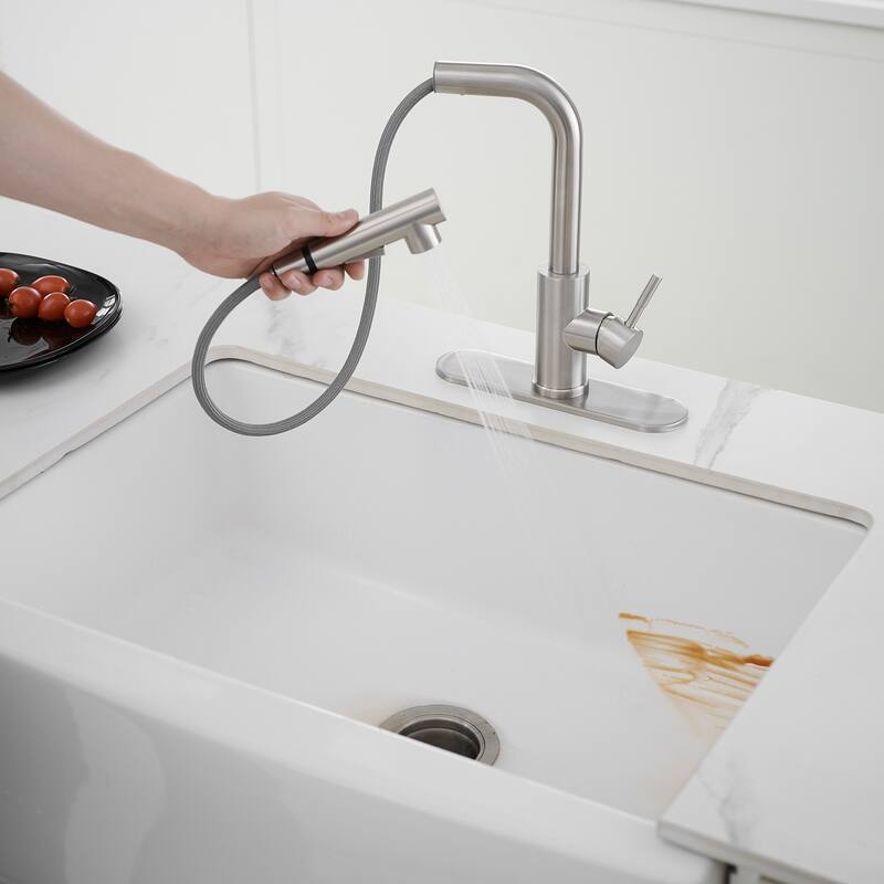 WIZ Pull Out Kitchen Faucet with Pull Down Sprayer