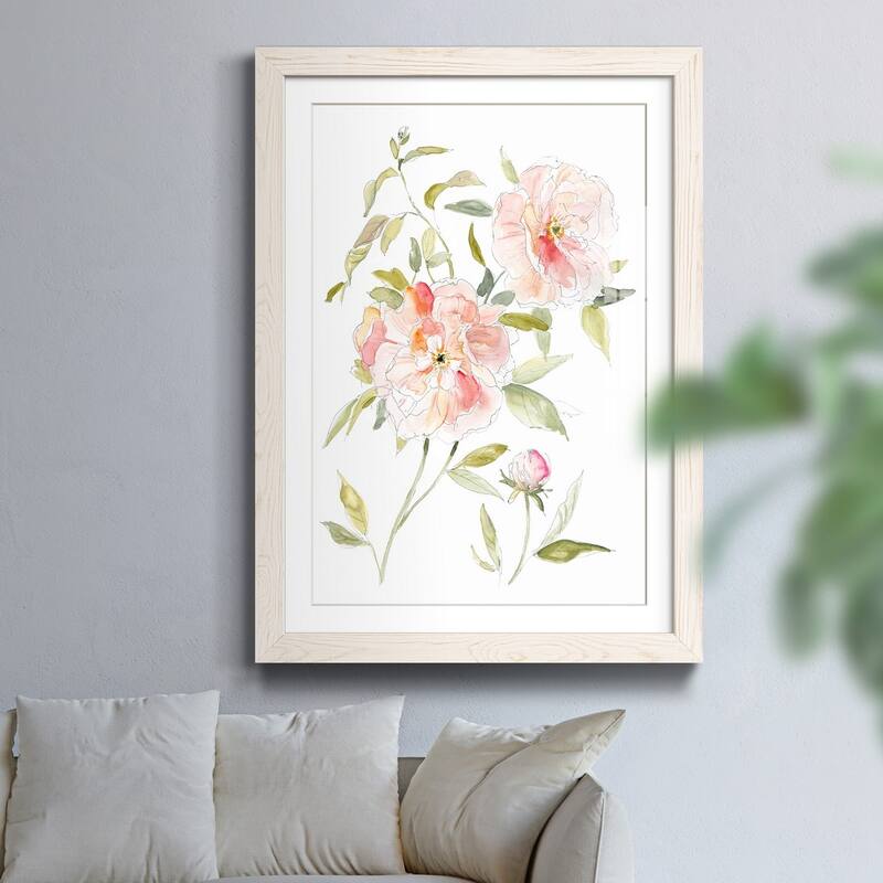 Sketchbook Cottage Rose II-Premium Framed Print - Ready to Hang