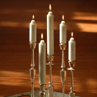 Root Unscented 5 In. Timberline⢠Collenette Taper Candles box of 8 - 5 X 1-1/4