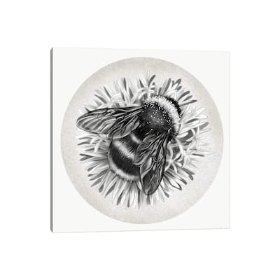 iCanvas "Bee On Cornflower In Pencil" by Vicki Hunt Canvas Print