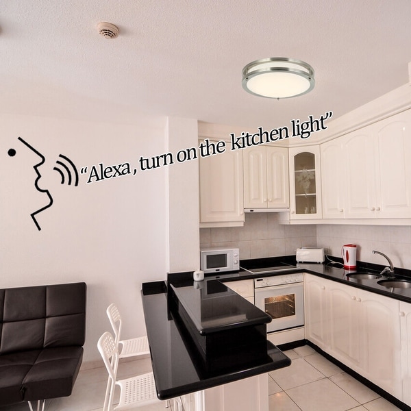 Alexa clearance ceiling light