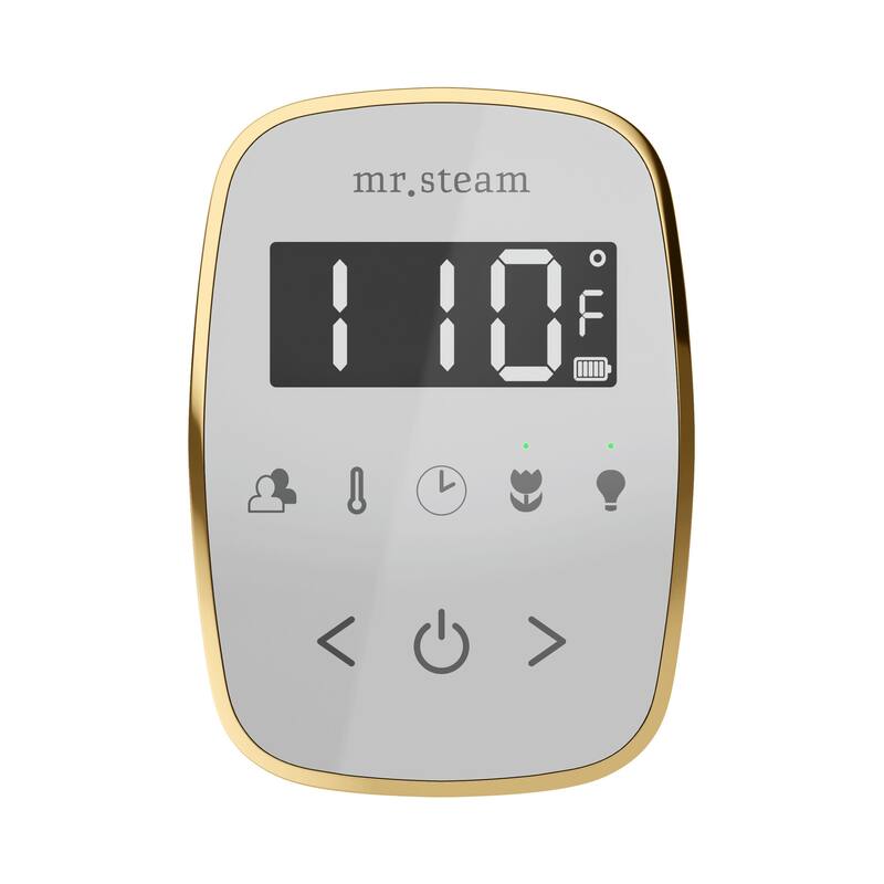 Mr Steam BFXL Butler Flex Max Linear Package Steam Shower Control