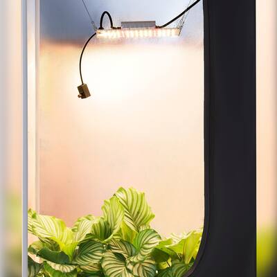 Furmax 220pcs LED Grow Light for Accelerating Plant Growth