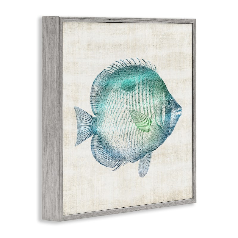 Stupell Fish Impression Sea Life Framed Giclee Art Design By Susan Arnot