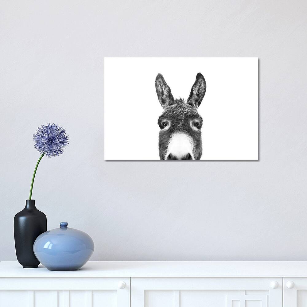 iCanvas "Peeking Donkey In Black & White" by Sisi & Seb Canvas Print