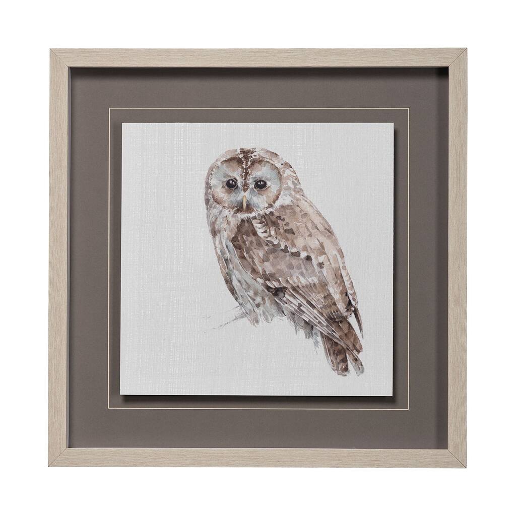 Forest Friends IX (Owl) Framed Art Print
