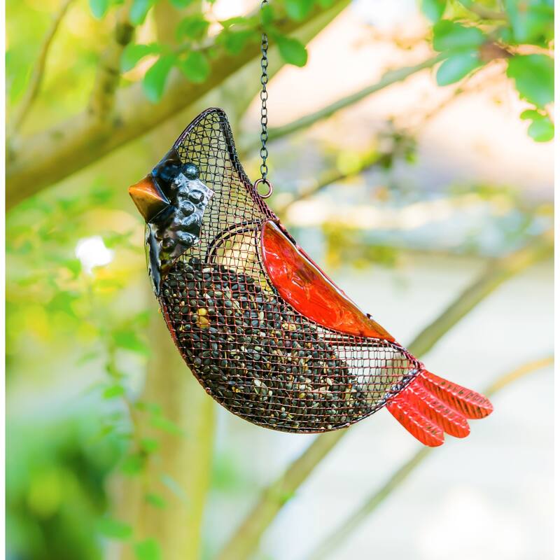 Cardinal Seed Feeder