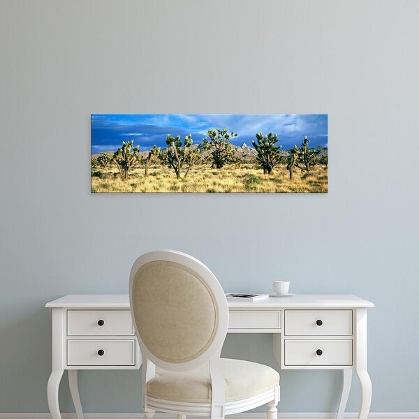 Easy Art Prints Panoramic Image 'Joshua trees, Mojave National, Mojave Desert, San Bernardino, California' Canvas Art