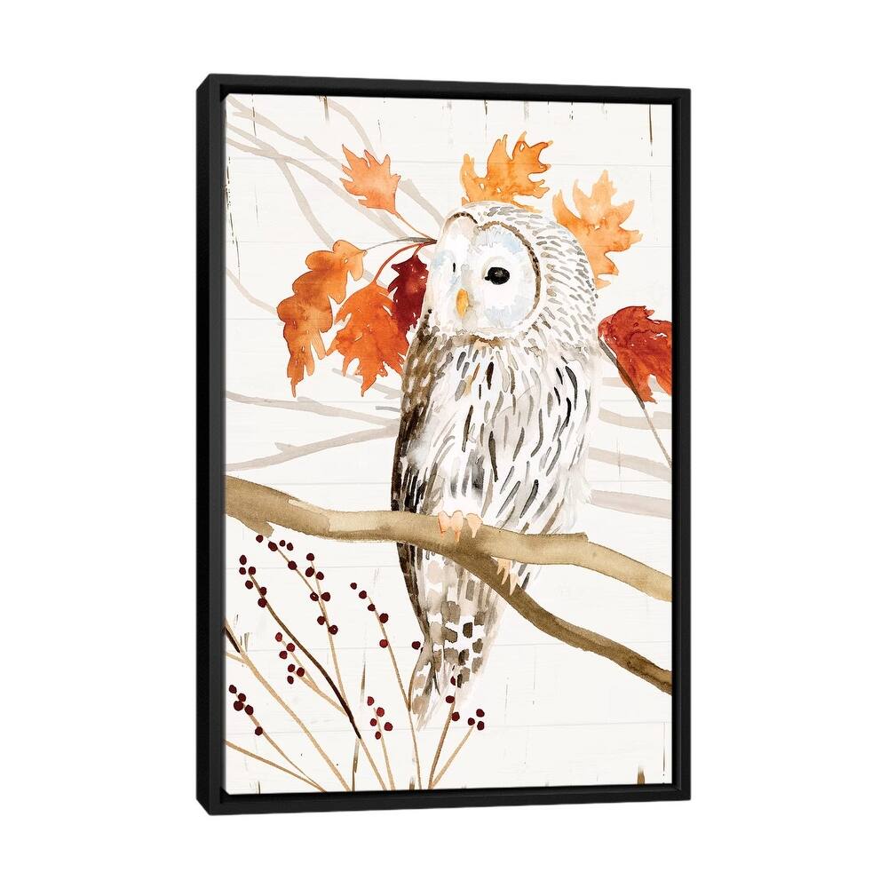 iCanvas "Harvest Owl II" by Victoria Borges Framed Canvas Print