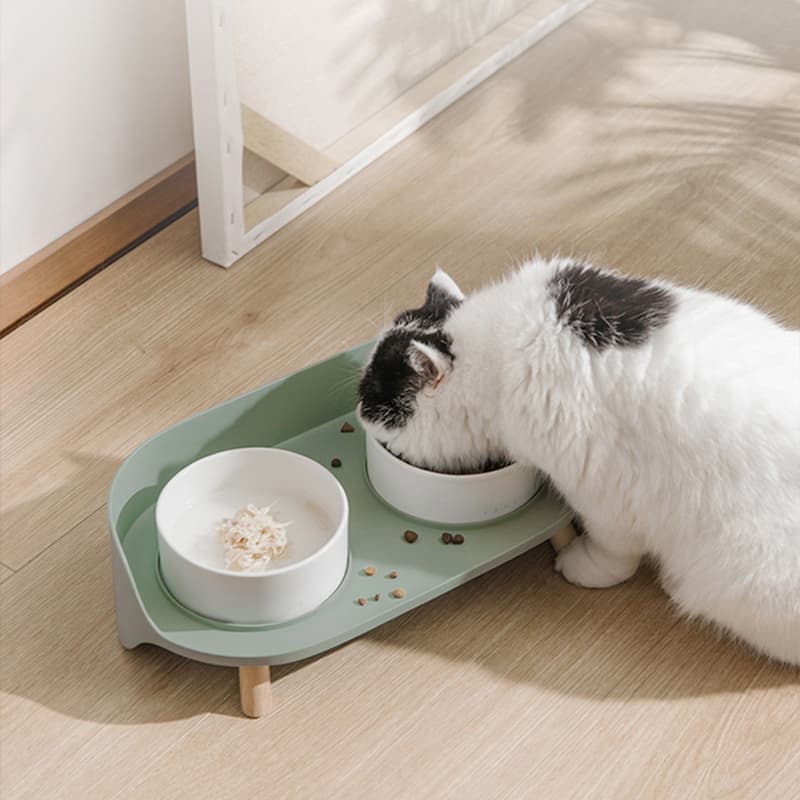 Double Bowl Ceramic Bowl Feeder Set, White - White