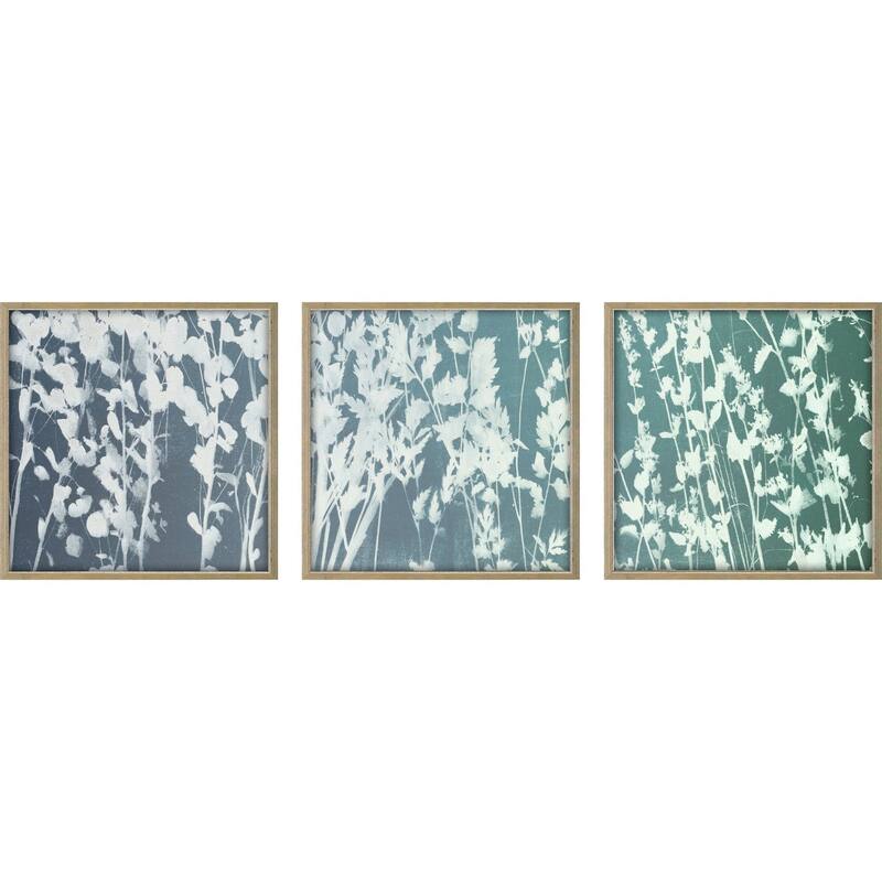 Paragon Still Floral III Framed Art - Set of 3