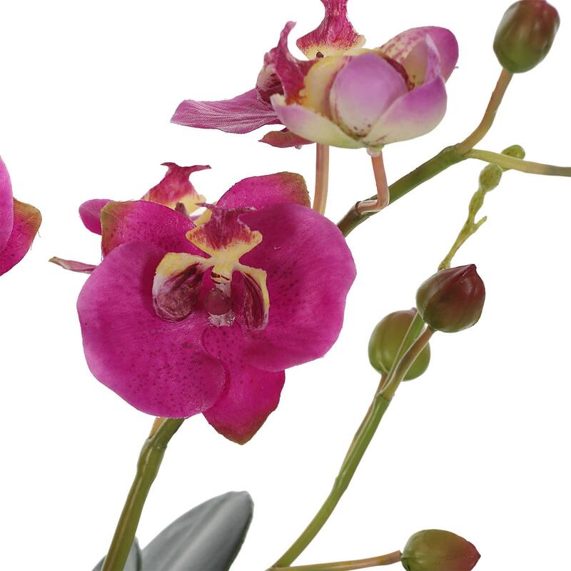 Fuchsia Orchid Artificial Floral Arrangements with Glass Container - 13" - Pink and Green