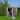 6 ft. W x 5 ft. D Gray Metal Storage Shed with Window and Lockable Door (30 sq. ft.)