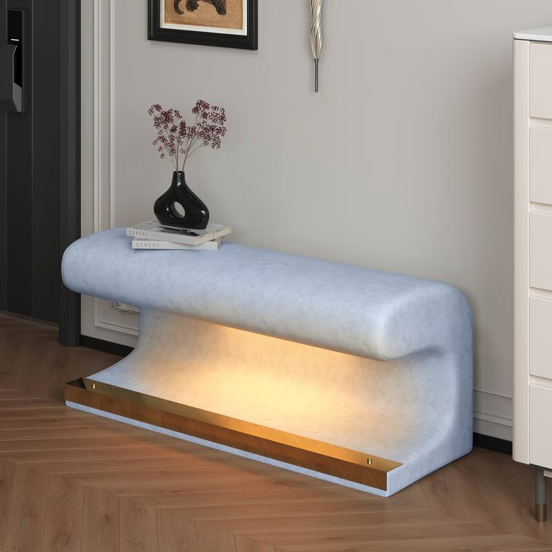 Modern & Contemporary Bench with Cushuion