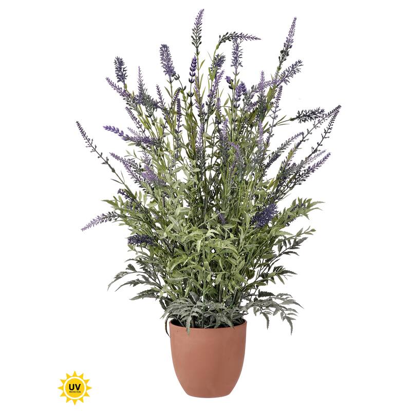 25" Potted UV Lavender Plant