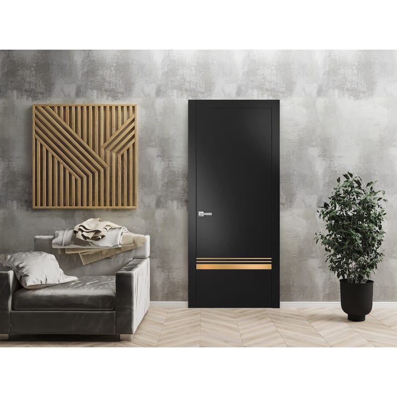 Solid French Door 18 x 80 Planum 2010 Matte Black with| Bathroom
