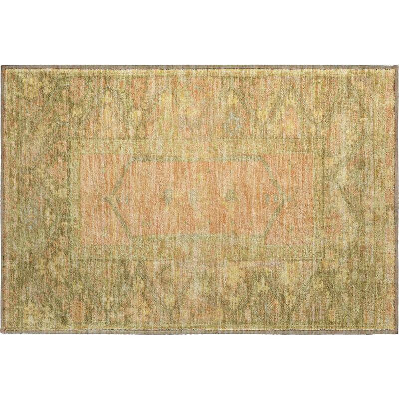 Premium Washable Super Soft Traditional Global Mayfield Rug