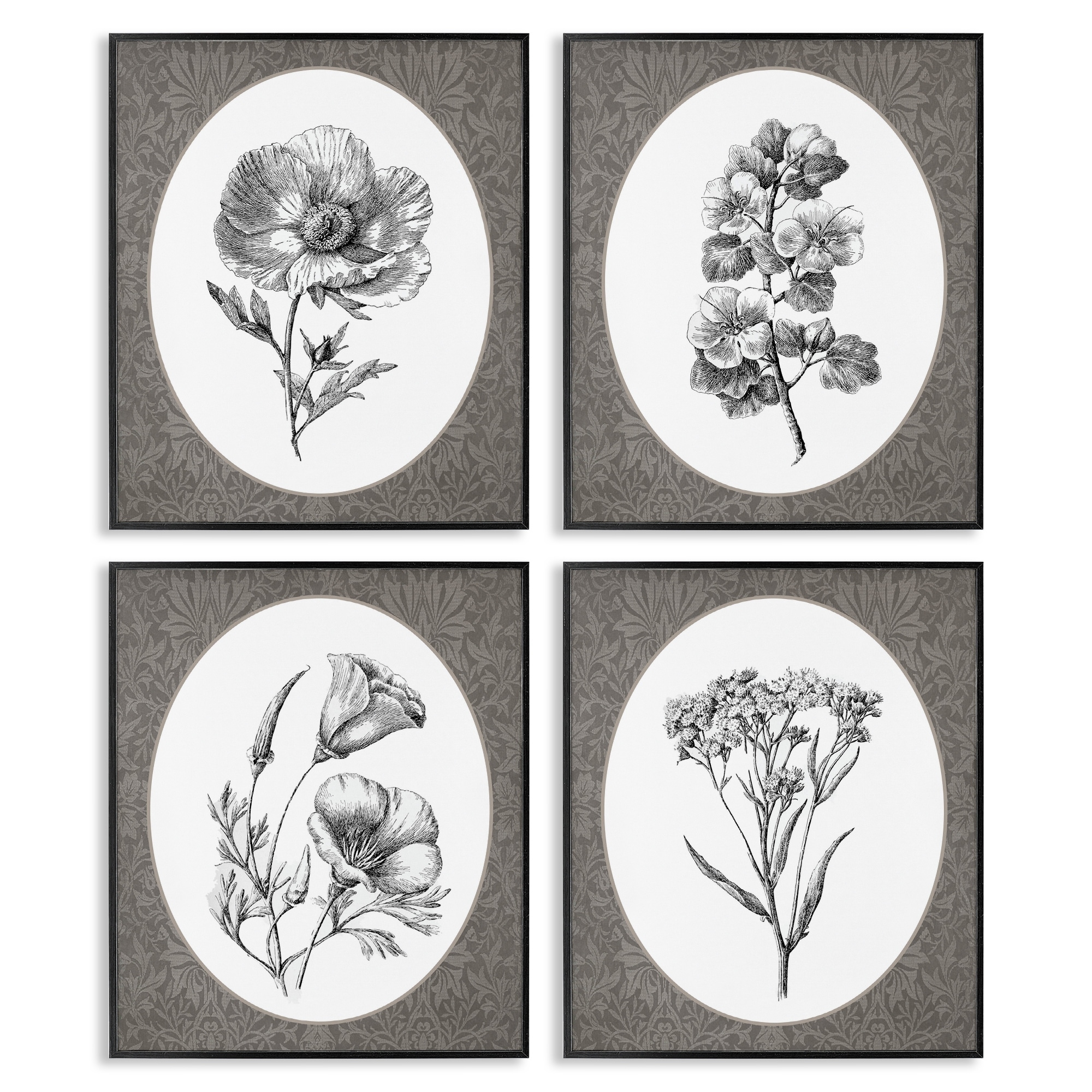 Stupell Ornate Blooms over Damask Framed Giclee Art Design By Lettered and Lined (Set of 4)