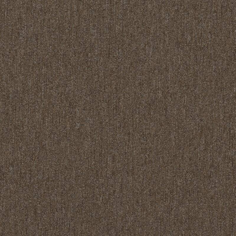 Shaw Philadelphia Commercial Beyond Limits 24" x 24" Glue Down Carpet - Fauna
