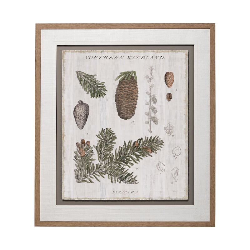 Woodland Chart IV Framed Art Print