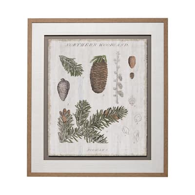 Woodland Chart IV Framed Art Print